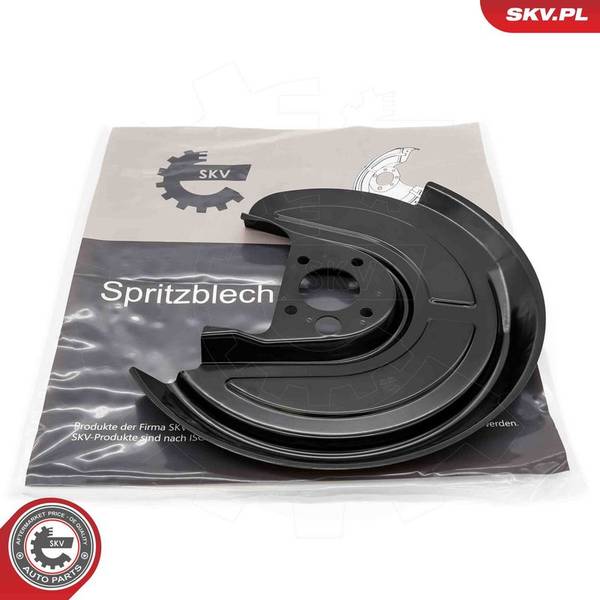 Dubļu sargs, Bremžu disks