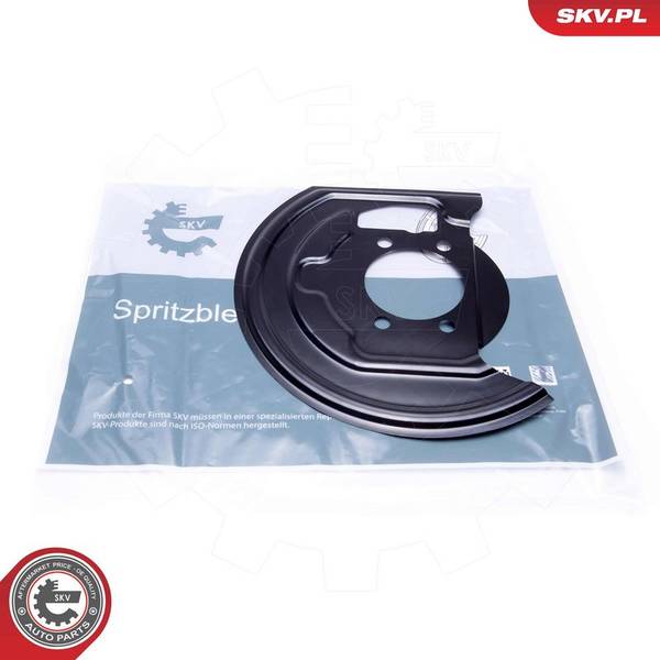 Dubļu sargs, Bremžu disks