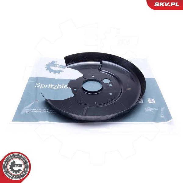 Dubļu sargs, Bremžu disks