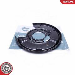 Dubļu sargs, Bremžu disks