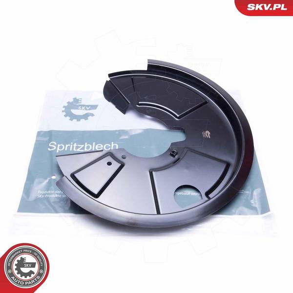 Dubļu sargs, Bremžu disks