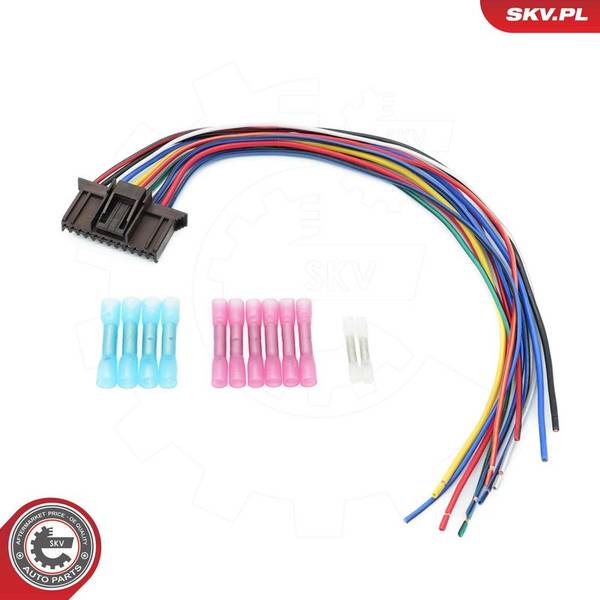 140847059719212020260909-1-ivrovo