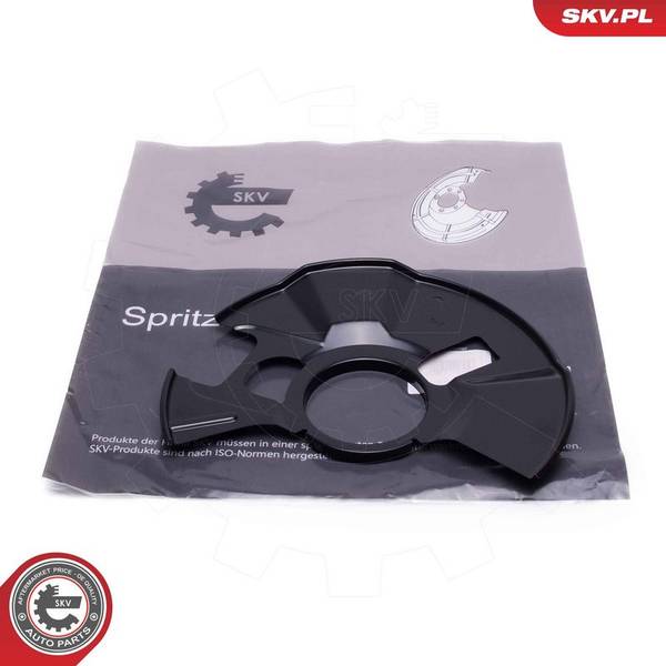 Dubļu sargs, Bremžu disks
