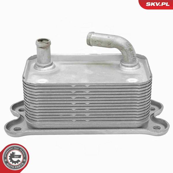 Eļļas radiators, Motoreļļa