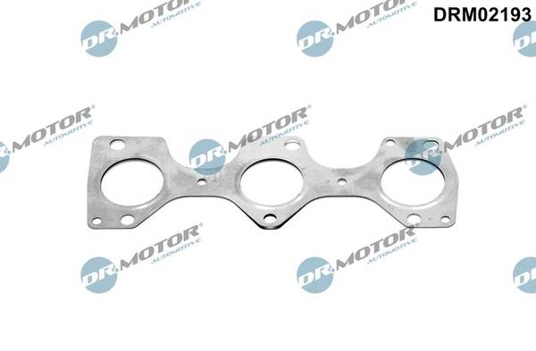 Blīve, Izplūdes kolektors