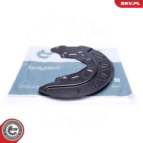 Dubļu sargs, Bremžu disks
