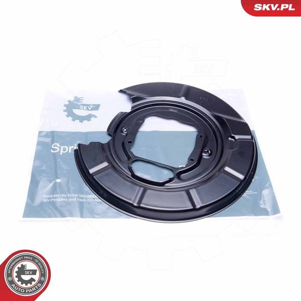 Dubļu sargs, Bremžu disks