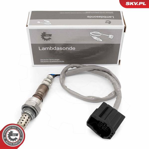 Lambda zonde