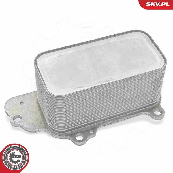 Eļļas radiators, Motoreļļa