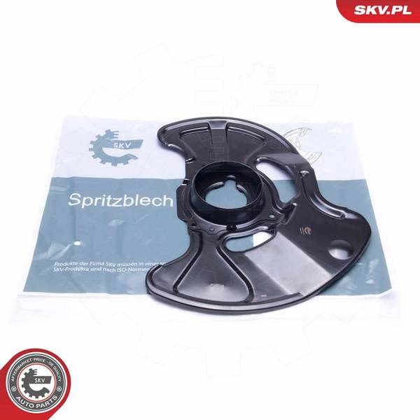 Dubļu sargs, Bremžu disks
