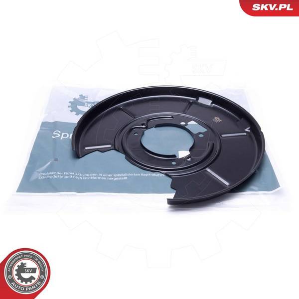 Dubļu sargs, Bremžu disks