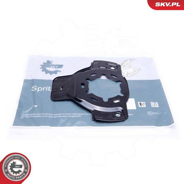 Dubļu sargs, Bremžu disks