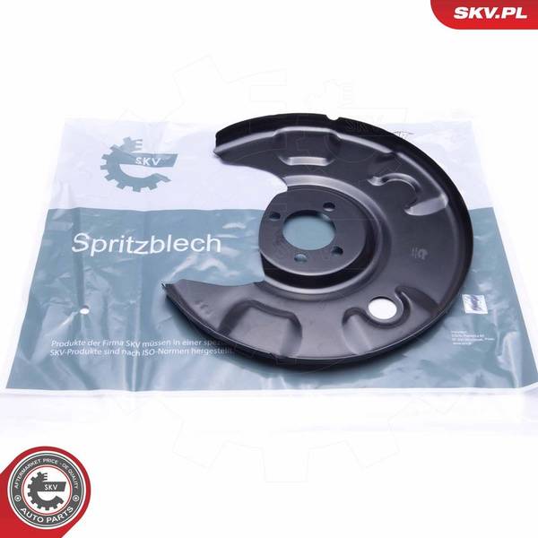 Dubļu sargs, Bremžu disks