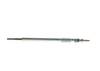 Kvēlsvece
