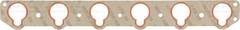 Blīve, Ieplūdes kolektors