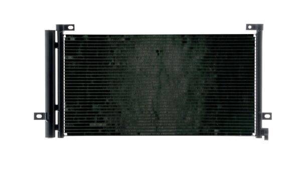 84552017555427320261001-1-1ha2hy4