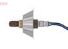 84552015340563420261004-1-92q7er