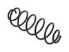 84552015051011720261004-1-cls3cd