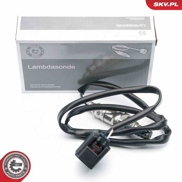 Lambda zonde
