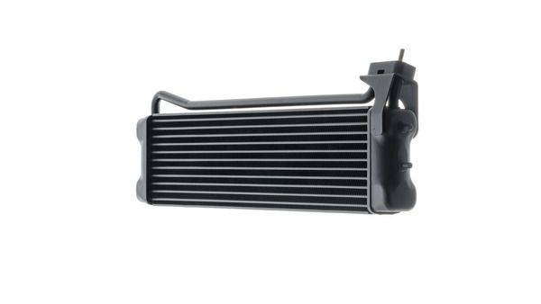 84552017553590720261012-1-lj5v8n