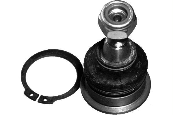 Ni-bj-4841
