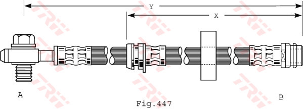 Phd489